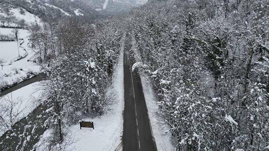 'Ağaç tünel yol'da, kar yağışı sonrası ortaya çıkan manzara görüntülendi