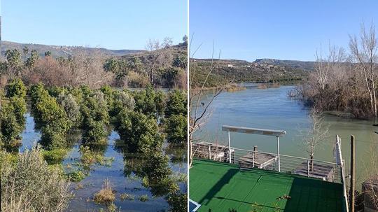 Irmak taştı, şantiye ile narenciye bahçelerini su bastı