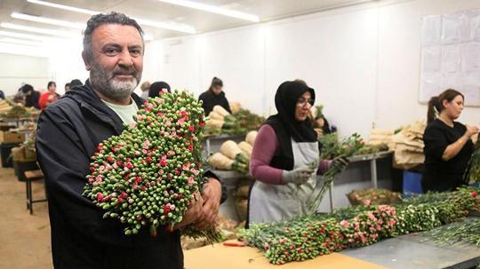 Antalya'dan 'Sevgililer Günü' için Avrupa'ya 75 milyon dal çiçek