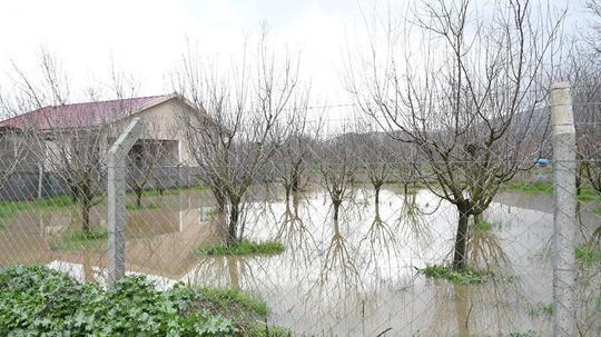 Kuşadası’nda sağanak etkili oldu; evlerin bahçeleri ve tarım arazileri su altında kaldı