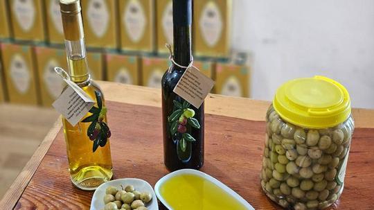 Dr. Kahraman: Tavşan yüreği zeytinyağı, kemoterapi kadar etkili