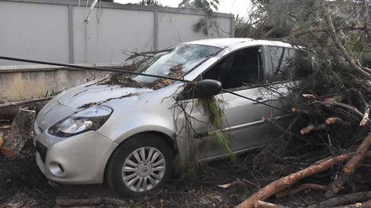 İzmir’de kuvvetli rüzgarda park halindeki otomobilin üzerine ağaç devirdi