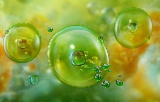 Deniz ürünlerinde zehirlenme riski: 'Bilinçli tüketim şart'