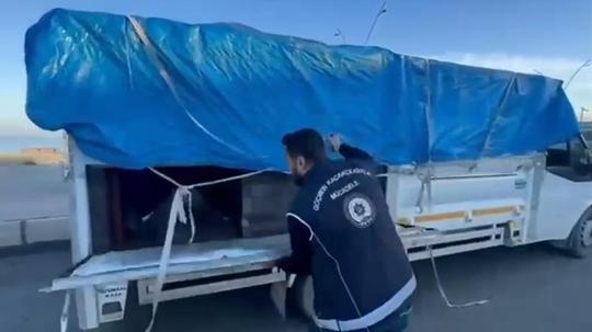 Hayvan dışkısı ile kamufle edilen bölmeden 19 kaçak göçmen çıktı