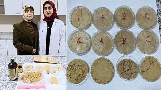 Vegan sporcular için ceviz temelli protein tozu geliştirdiler