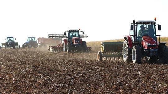 Mardin'de kar ve yağmur, çiftçiyi sevindirdi; bereket yılı bekleniyor