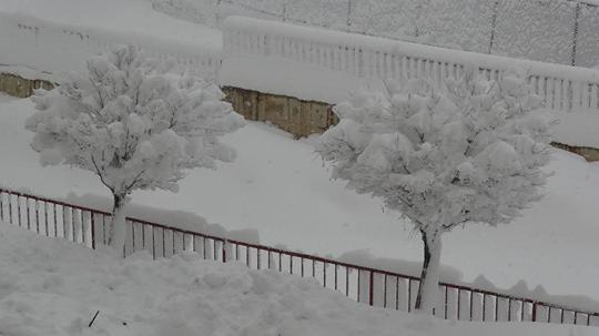 Hakkari'de 210 yerleşim yeri yolu kapandı; araçlar kara gömüldü