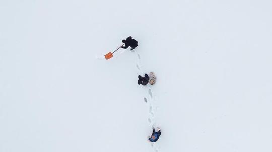 10 yıldır 'Allah'ın misafiri' dedikleri kuşları yemliyorlar