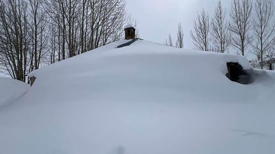 Yüksekova'da evler kara gömüldü