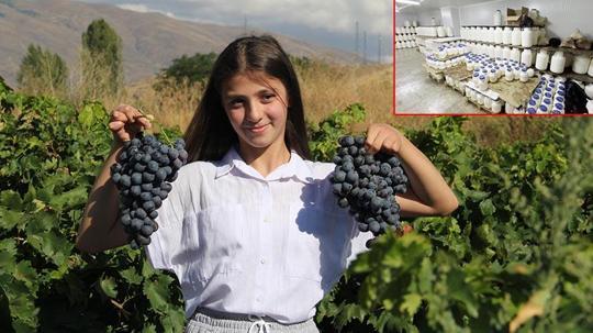 Erzincan tulum peyniri ve Cimin üzümü 'Slow Food Ark of Taste' listesine alındı