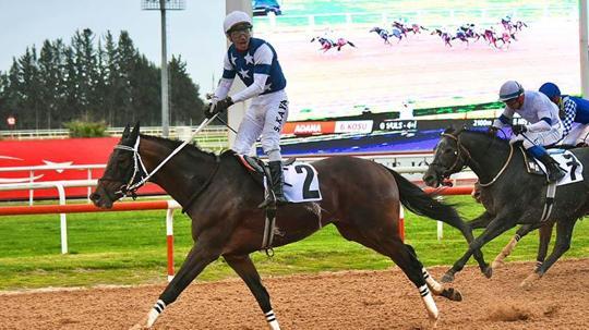 Adana’da Akdeniz Derbisi’nin kazananı ‘Dapper Man’ oldu