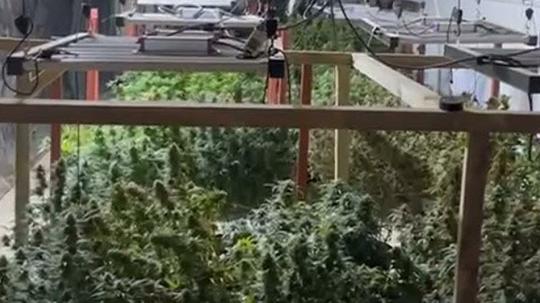 Depoyu Hint keneviri serasına çeviren 2 şüpheli tutuklandı