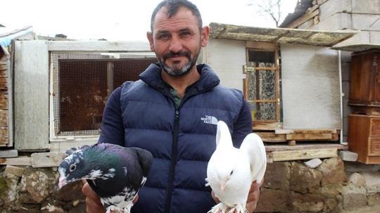 Hobi olarak başladığı güvercin tutkusunu 35 yıldır sürdürüyor