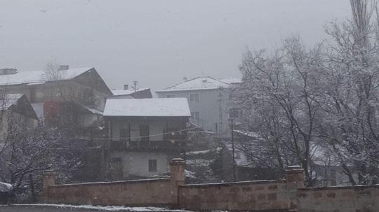 Posof'ta kar yağışı etkili oldu