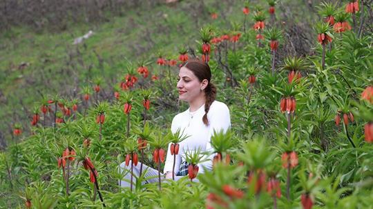 Muş'un zirveleri ters lalelerle renklendi