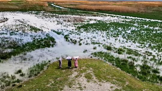 Akşehir Gölü, 8 yıllık kuraklık sonrası canlanıyor