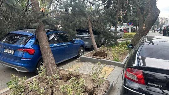 Ankara'da kuvvetli rüzgar; ağaçlar devrildi, araçlar zarar gördü