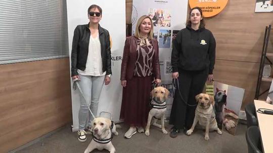 Rehber Köpekler Derneği Başkanı Tunçer: Türkiye'de aktif 8 rehber köpek bulunuyor; 300 görme engelli sırada bekliyor