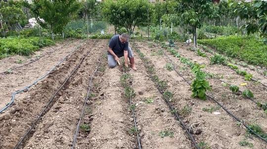 Artvin’de eğitimciler hobi bahçelerini üretim alanına dönüştürdü