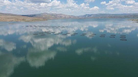 Denizi olmayan Kayseri’den 49 ülkeye balık ihracı