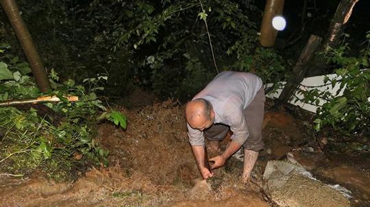 Artvin'de sağanak etkili oldu; dere taştı