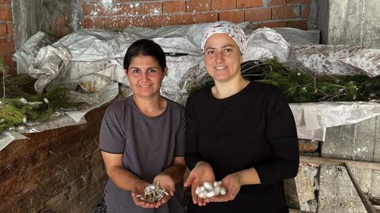 İpek böcekçiliği yaparak aile bütçelerine katkı sağlıyorlar
