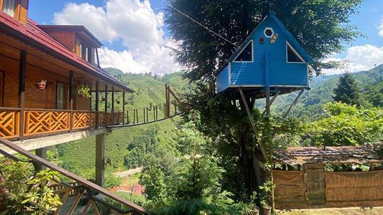 Rize'de iki kardeşin ağaç evine balkondan asma köprüyle ulaşı