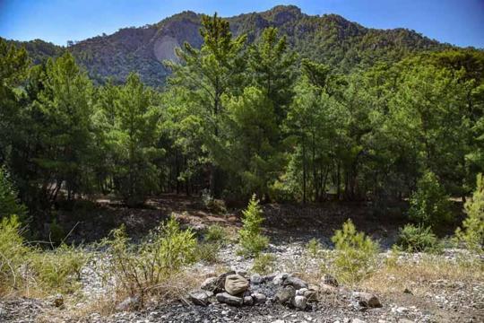 Yasağa rağmen ‘ormanda mangal' duyarsızlığı
