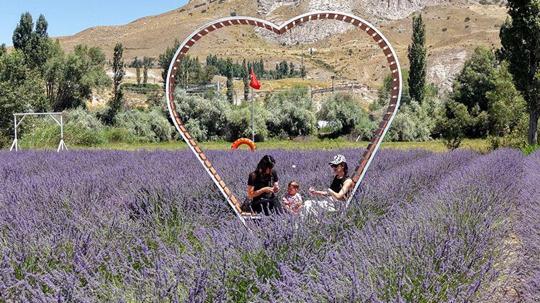 Emeklilikte yaşadığı boşluğu lavanta bahçesi ile doldurdu