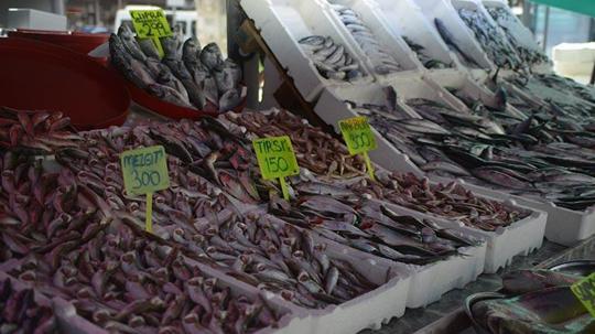Rize’de sezonun ilk balıkları tezgahtaki yerlerini aldı