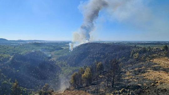 Antalya Serik'teki yangın kontrol altına alındı; 6 ev yandı