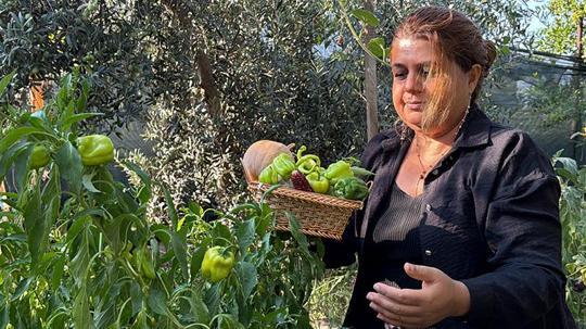 Atalık tohumları gelecek nesillere taşıyor