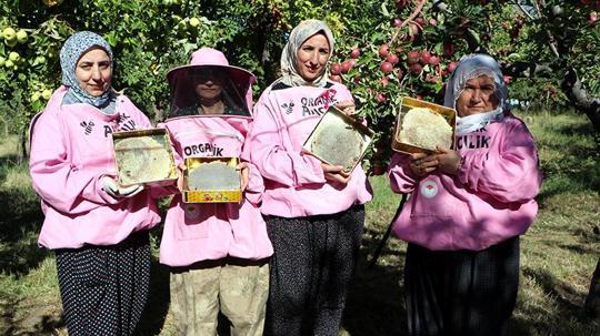 'Pembe maskeli’ kadın arıcılar hasada başladı