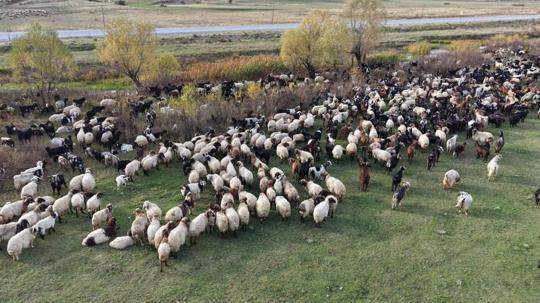 Van ve Bitlis’te göçerlerin dönüş yolculuğu başladı