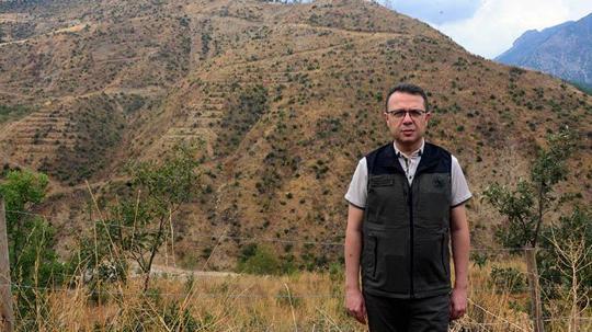 Şakalaşma sırasında atılan torpille yanan alan, 27 bin fidanla yeniden ağaçlandırıldı