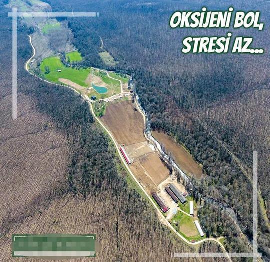 Kırklarelide selde 6 kişinin ölümünde Danıştay, 12 kamu görevlisi hakkında adli soruşturmaya hükmetti