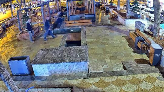 Parkta, büyük saksıdaki ağacı otomobilin bagajına koyup çaldılar