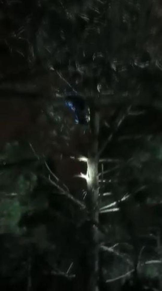 Marmaray istasyonundaki saldırgandan ağaçta taciz