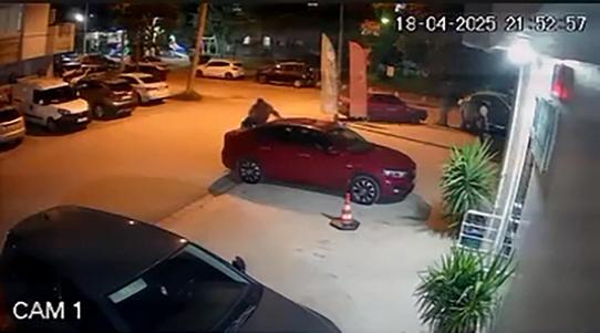 Otomobilin üzerinde zıplayıp, park halindeki araçlara zarar verdi