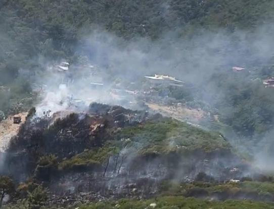 İzmirde çıkan orman yangını kontrol altında