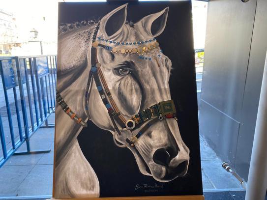 “Herhangi bir yerde denize atılan çöp tüm denizleri etkiliyor”