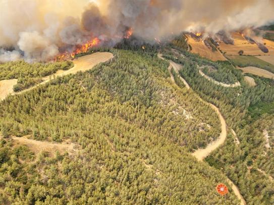 Yangın söndürme uçağının kırıma uğradığı orman yangını ile ilgili 5 tutuklama
