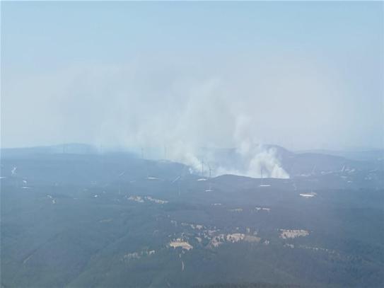 Çanakkale’de orman yangını kontrol altında