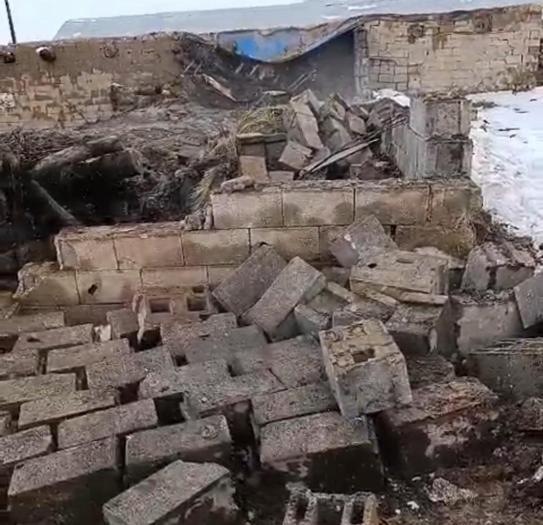 Vanda ahır çöktü; 20 küçükbaş öldü