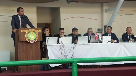 Elit taylar açık arttırmayla toplam 54 milyon 200 bin liraya satıldı