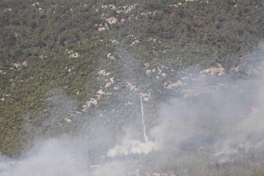 Denizlide orman yangını