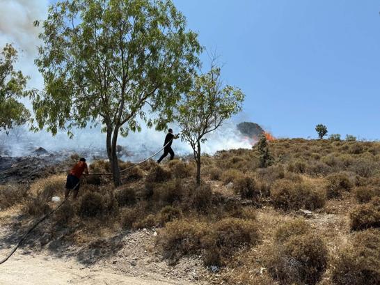 Muğlada maki yangını