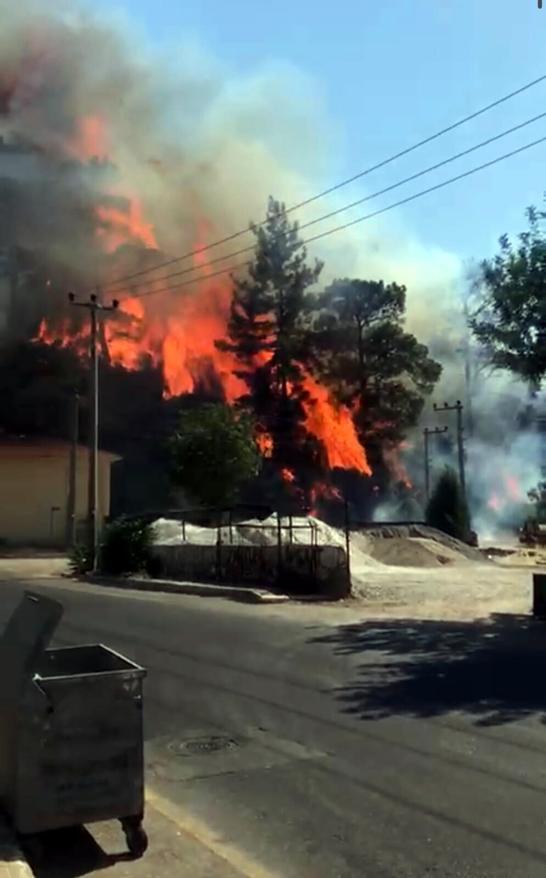 Marmariste yerleşim yeri yakınında orman yangını