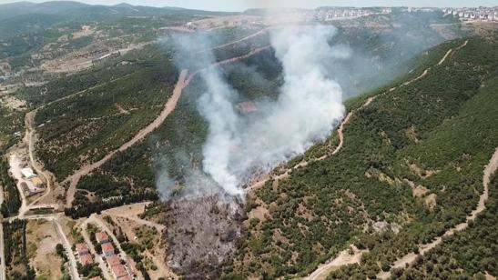Kocaelide makilik yangını