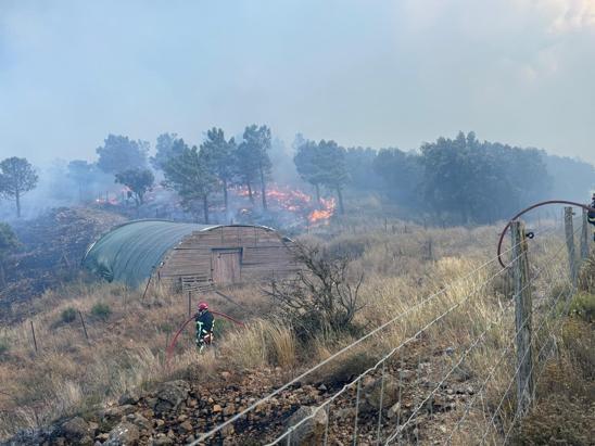 Fransanın güneyinde orman yangını